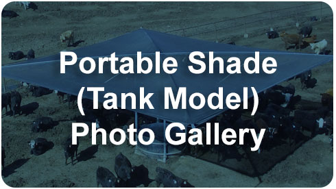 Tank Gallery