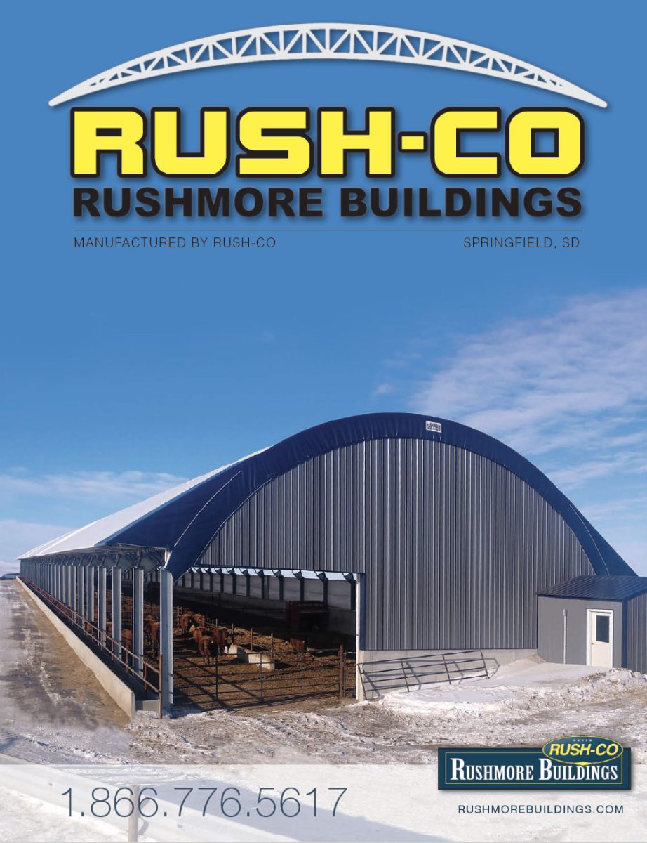 Rushmore Buildings Cover